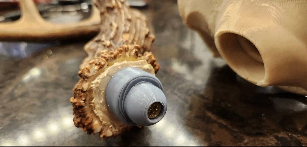 Deer skull European mounting kit for antlers/sheds